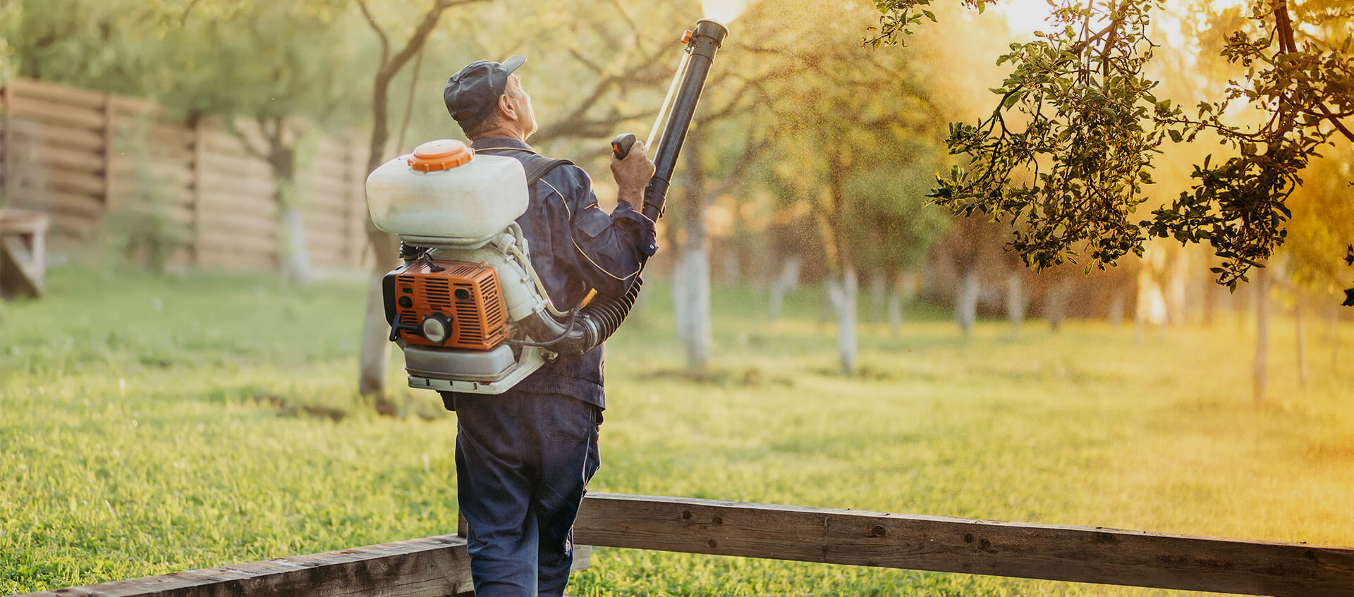 Pest Control, Exterminator and Bed Bug Treatment